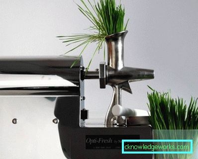 Mikä on parempi juicer: ruuvi tai keskipako Mikä on parempi juicer: ruuvi tai keskipako