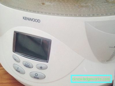 Kenwood Steamer Kenwood Steamer