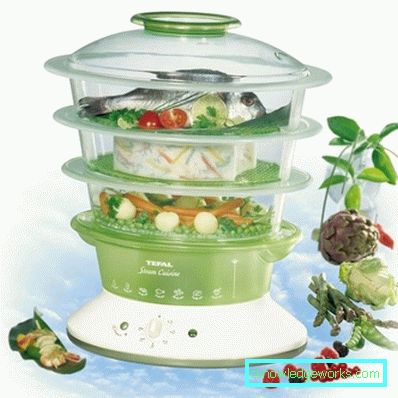 Steamer Tefal ja kaikki sen mallit