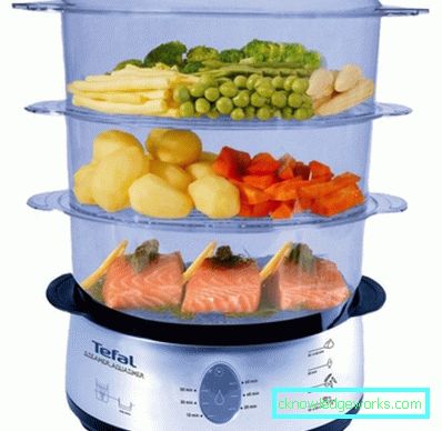 Steamer Tefal ja kaikki sen mallit