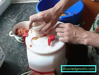Neptune Juicer Neptune Juicer