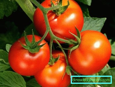 158-valkoinen tomaatti